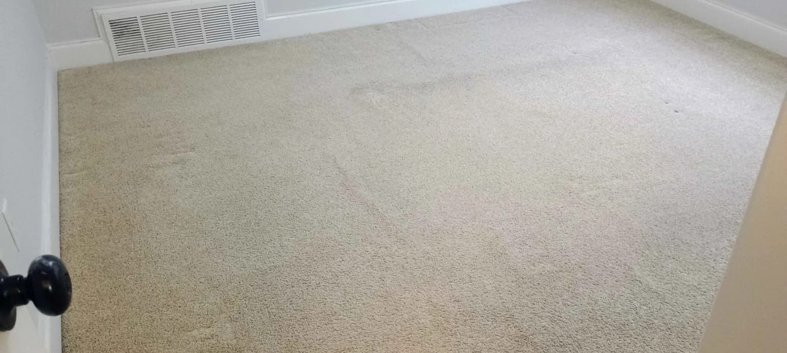Carpet cleaning in Arlington, TN