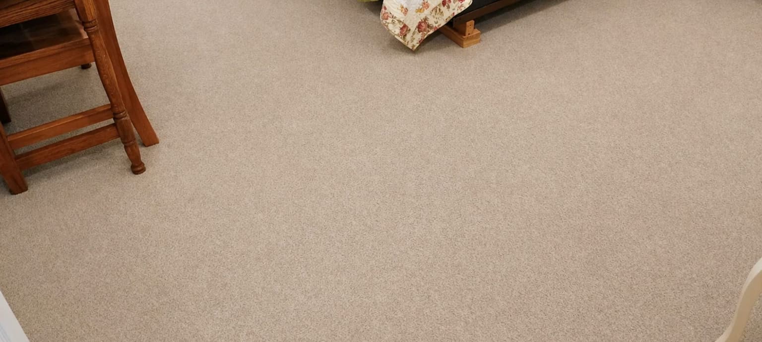 Carpet cleaning in Bartlett, TN