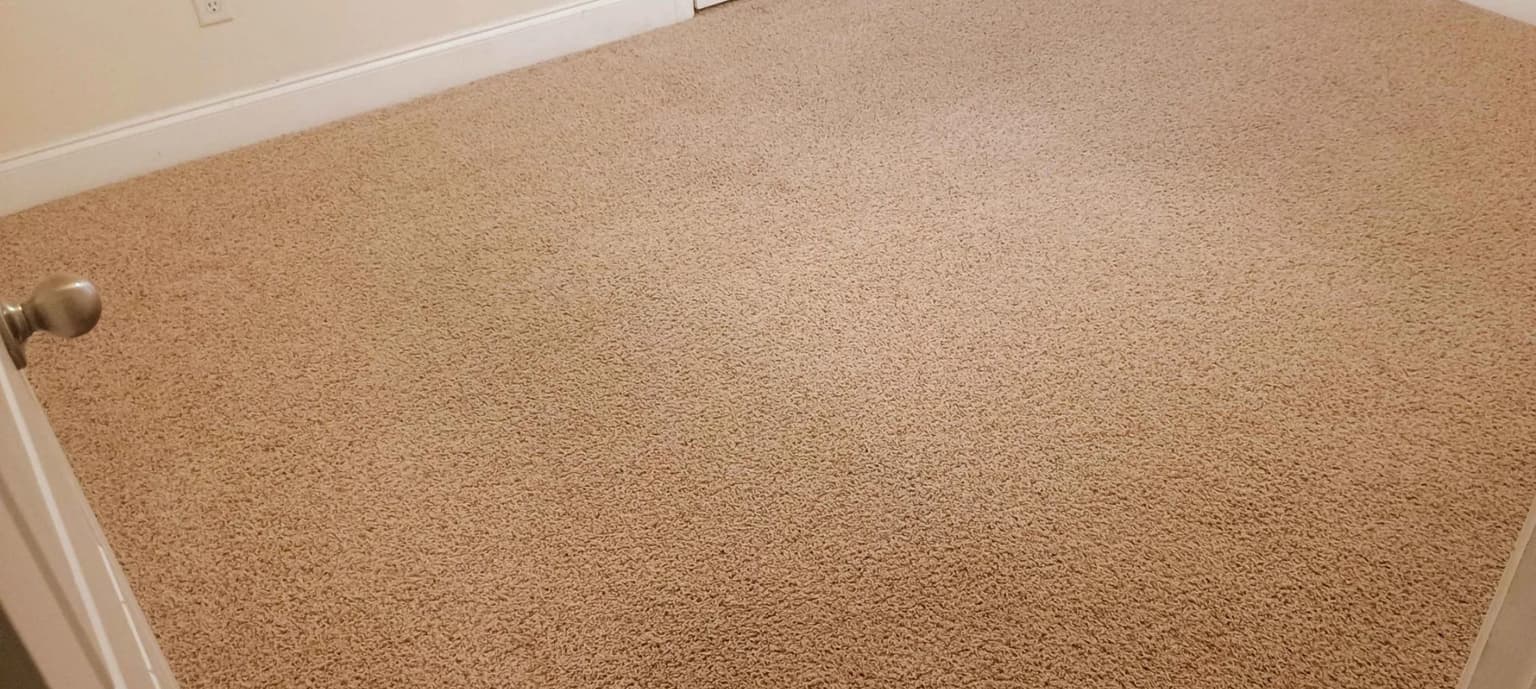 Carpet cleaning in Cordova, TN