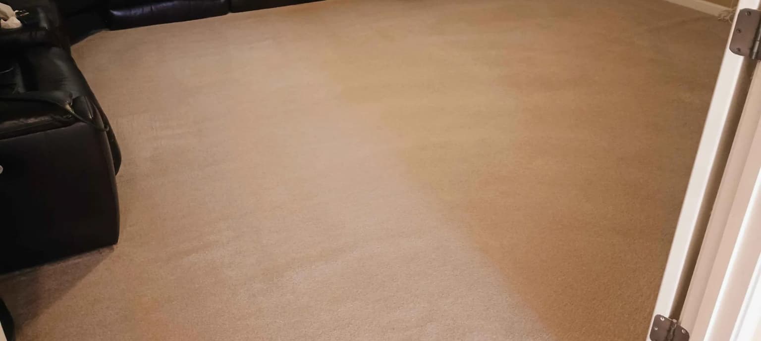 Carpet cleaning in Eads, TN