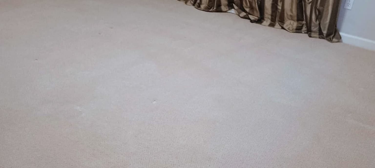 Carpet cleaning in Germantown, TN