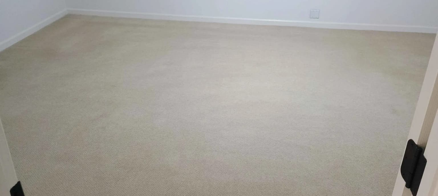 Carpet cleaning in Lakeland, TN