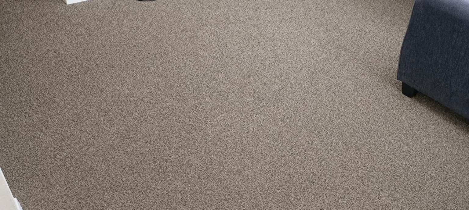 Carpet cleaning in Olive Branch, MS