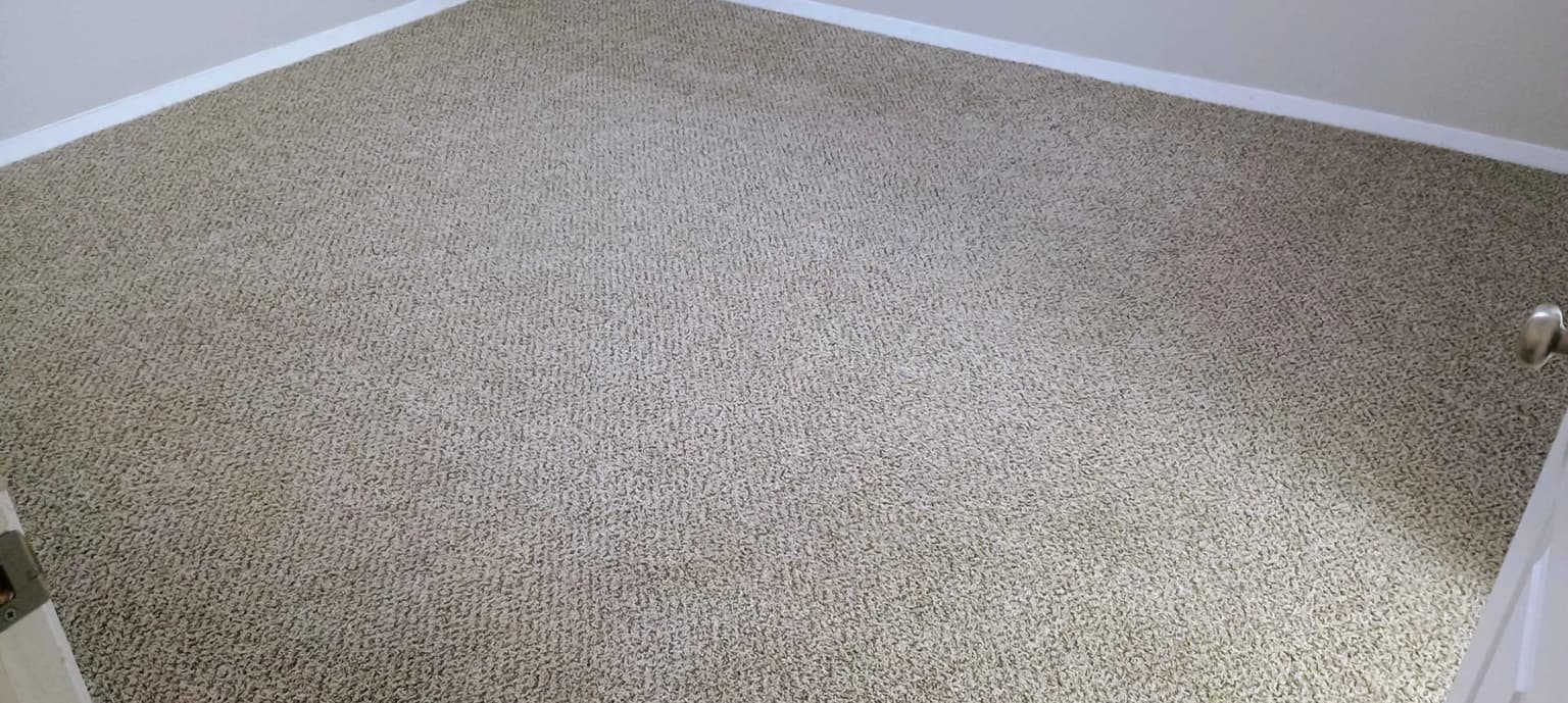 Carpet cleaning in Rossville, TN