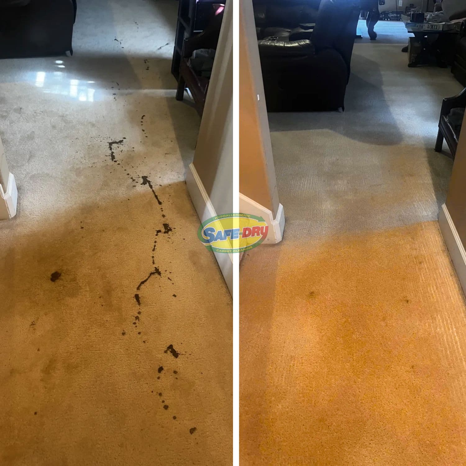 How to Remove Stains and Odors Effectively