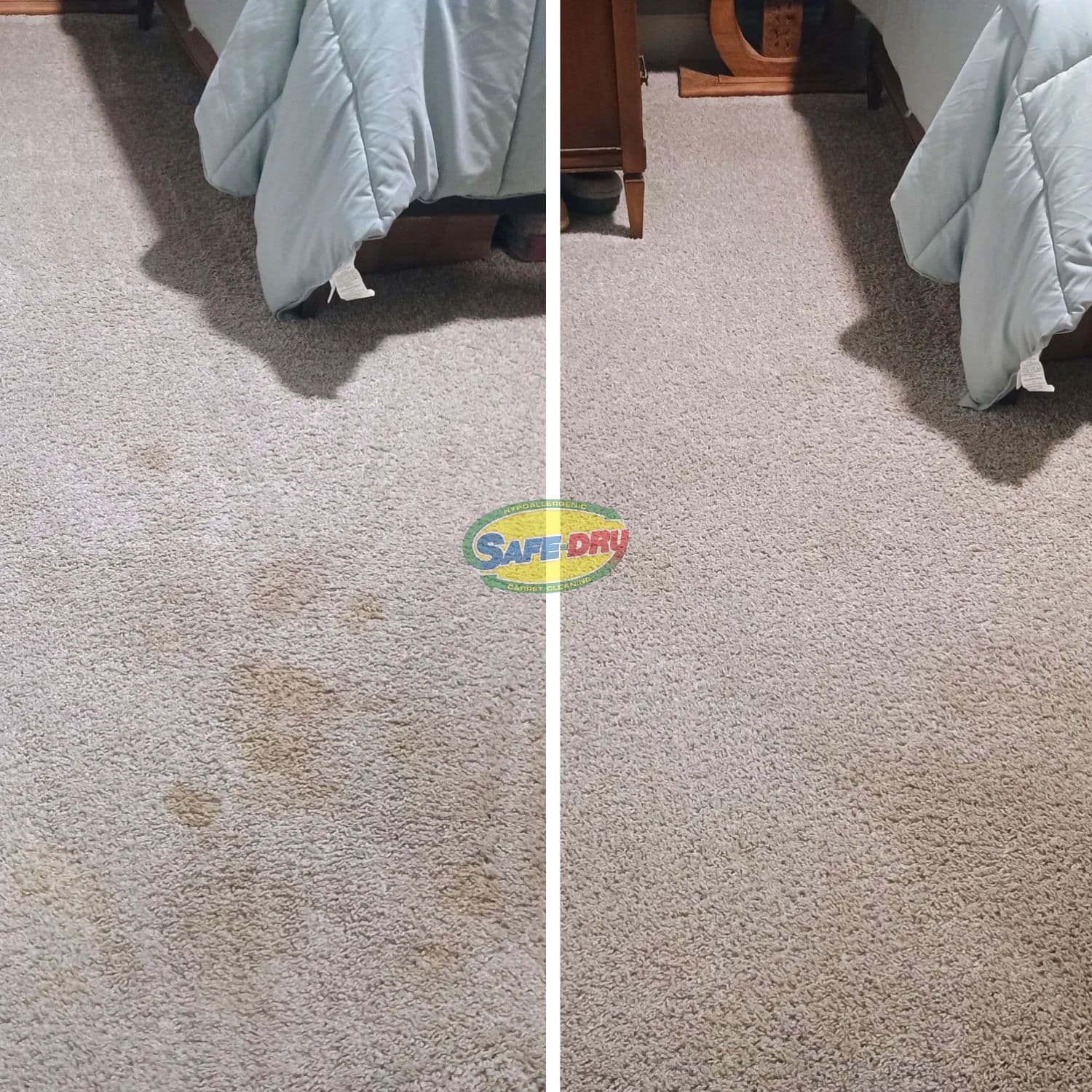 The Best DIY Carpet Cleaning Solutions