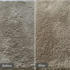 Shag Rug Cleaning